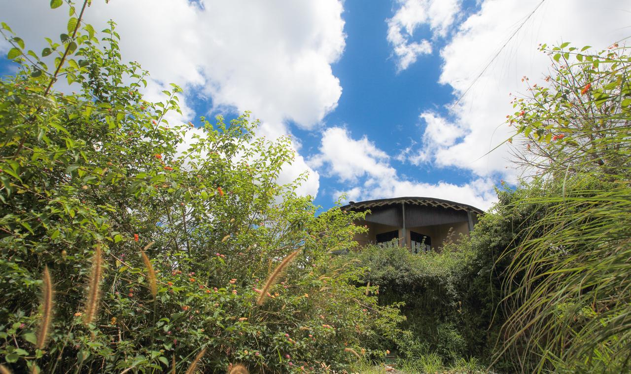 Villa Verde Ella Exteriör bild